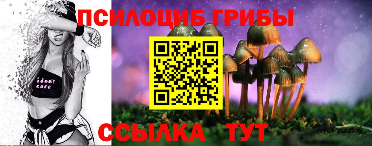 Галлюциногенные грибы прущие грибы Бор