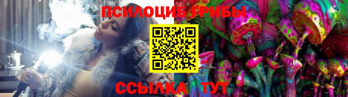 Псилоцибиновые грибы MAGIC MUSHROOMS  Галлюциногенные грибы Cubensis  Бор  Вход с VPN 